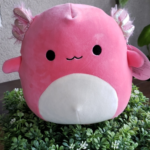 Squishmallow Other - NWT Squishmallow Archie Axolotl 8in